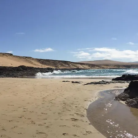 Welooveyou Wildlife Zen Lajita