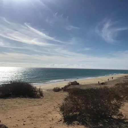 Welooveyou Wildlife *