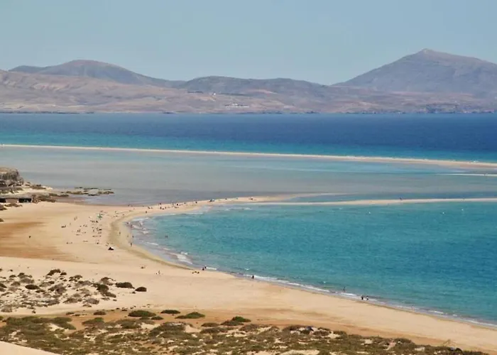 Διαμέρισμα Welooveyou Wildlife Zen