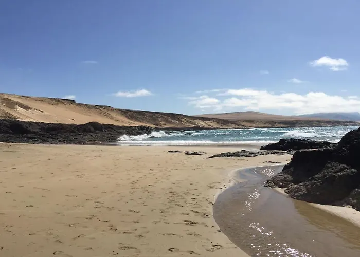 Welooveyou Wildlife Zen Lajita