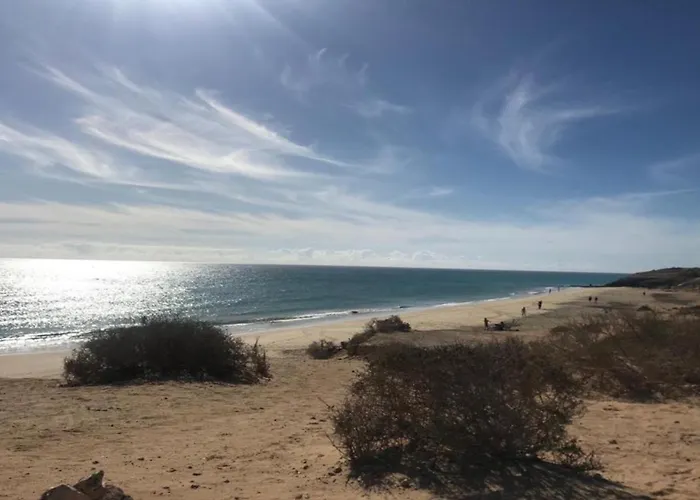 Welooveyou Wildlife Zen *