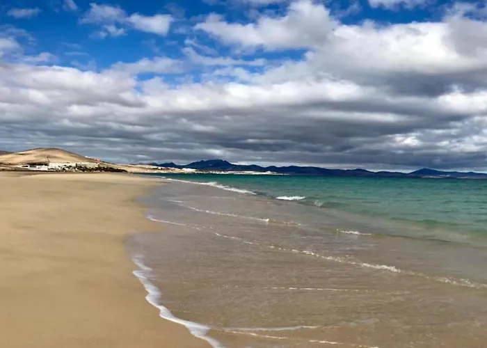 Welooveyou Wildlife Zen Lajita