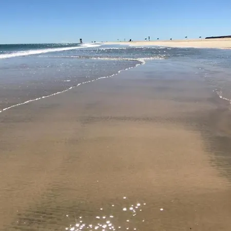 Daire Welooveyou Wildlife *