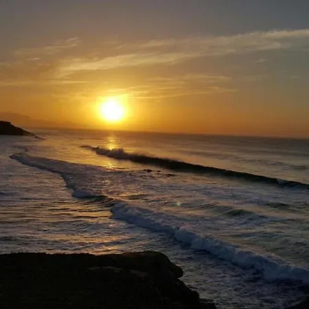 Welooveyou Wildlife Lajita